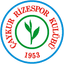 Чайкур Ризеспор logo