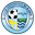 Home team logo