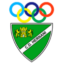 Home Team logo