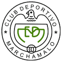 Away team logo