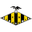 Home team logo