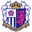 Home team logo
