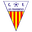 Home team logo