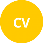 Чаудхари В / Десай З logo
