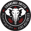 Чиангмай Юнайтед logo