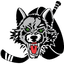 Chicago Wolves