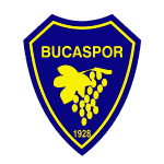 Ci Group Buca logo