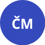 Чилич М / Додиг И logo