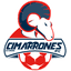 teamLogo