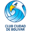Боливар logo