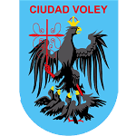 Ciudad Voley