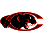 home team logo