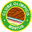 Home team logo