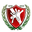 Home team logo