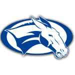 home team logo