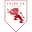 Home team logo