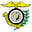 Home team logo
