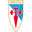 Home team logo