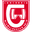 Home team logo