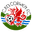 Away team logo