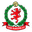 Home team logo