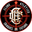 Home team logo