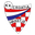 Home team logo
