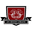 Home team logo