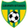 Home team logo