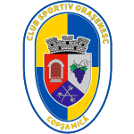 ЧС Орашенеск Копша Микэ logo