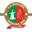 Home team logo