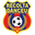 Home team logo