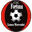Home team logo