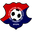 Home team logo