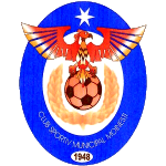 ФК Мойнешти logo