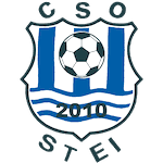 ЧСО Штей logo