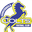 Home team logo