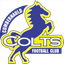 teamLogo