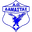 Home team logo