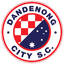 Данденонг Сити logo