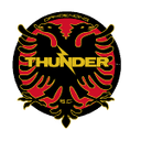 Away team logo