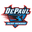 Home team logo