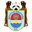 Home team logo