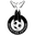 Home team logo