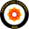 Home team logo
