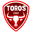 Home team logo