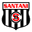Home team logo