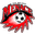 Home team logo