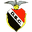 Home team logo