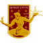 Детройт Сити logo